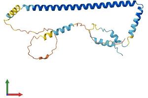 AlphaFold protein structure predicition of Human Recombinant CLTB Protein, UniprotID P09497 (CLTB Protein (AA 1-229) (His tag))