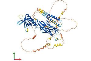 Protein Structure (PS) image for Rhotekin 2 (RTKN2) (AA 1-604) protein (His tag) (ABIN7556979)