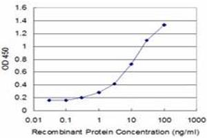 Detection limit for recombinant GST tagged TGM2 is approximately 0. (Transglutaminase 2 antibody  (AA 1-120))