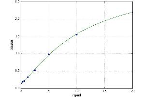 Cystatin A (Stefin A) (CSTA) ELISA Kit