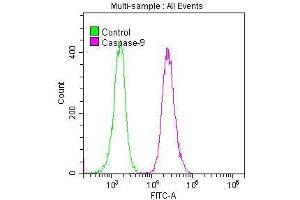 Flow Cytometry (FACS) image for anti-Caspase 9, Apoptosis-Related Cysteine Peptidase (CASP9) antibody (ABIN7127382)