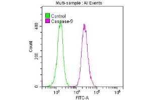 Overlay histogram showing K562 cells stained with ABIN7127382 (red line) at 1:50. (Recombinant Caspase 9 antibody)