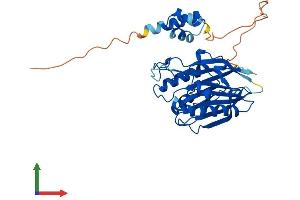 AlphaFold protein structure predicition of Human Recombinant TDP2 Protein, UniprotID O95551