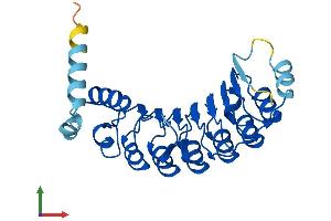 Protein Structure (PS) image for Antagonist of Mitotic Exit Network 1 Homolog (AMN1) (AA 1-258) protein (His tag) (ABIN7552273)