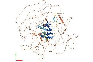 AlphaFold protein structure predicition of Human Recombinant MAP3K19 Protein, UniprotID Q56UN5 (MAP3K19 Protein (AA 1-1328) (His tag))