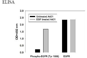 Image no. 6 for Epidermal Growth Factor Receptor (EGFR) ELISA Kit (ABIN1981790) (EGFR ELISA Kit)
