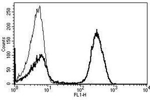 A typical staining pattern with the B-B11 monoclonal antibody of lymphocytes (CD3 antibody)