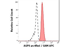 Separation of K562 cells (red-filled) from human leukocytes (black-dashed) in flow cytometry analysis (intracellular staining) of human peripheral whole blood spiked with K562 cells stained using anti-AGPS (AGPS-03) purified antibody (concentration in sample 5 μg/mL, GAM APC). (AGPS antibody  (AA 158-384))