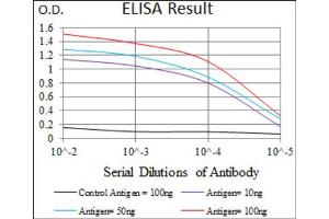 Red: Control Antigen (100ng) ; Purple: Antigen (10ng) ; Green: Antigen (50ng) ; Blue: Antigen (100ng). (TWIST1 antibody  (AA 9-74))
