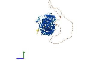 Protein Structure (PS) image for Armadillo Repeat Containing 3 (ARMC3) (AA 1-881) protein (His tag) (ABIN7561958)