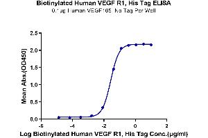ELISA image for Fms-Related tyrosine Kinase 1 (VEGFR1) (FLT1) (AA 27-756) protein (His-Avi Tag,Biotin) (ABIN7275836)
