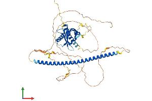 AlphaFold protein structure predicition of Human Recombinant NOS1AP Protein, UniprotID O75052 (NOS1AP Protein (AA 1-506) (His tag))