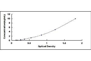 ELISA image for CD274 (PD-L1) ELISA Kit (ABIN424490)