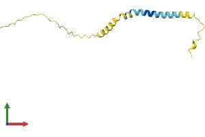 AlphaFold protein structure predicition of Human Recombinant SMLR1 Protein, UniprotID H3BR10 (SMLR1 Protein (AA 1-107) (His tag))
