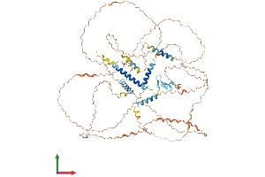 AlphaFold protein structure predicition of Human Recombinant HJURP Protein, UniprotID Q8NCD3 (HJURP Protein (AA 1-748) (His tag))