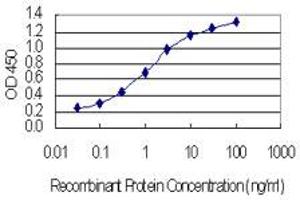 Detection limit for recombinant GST tagged TRAF3IP3 is 0. (TRAF3IP3 antibody  (AA 231-330))