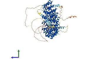 AlphaFold protein structure predicition of Human Recombinant PPP4R4 Protein, UniprotID Q6NUP7 (PPP4R4 Protein (AA 1-873) (His tag))