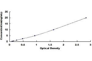 Typical standard curve