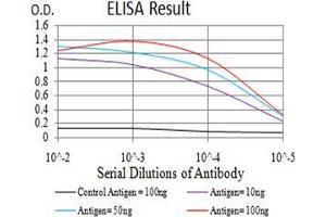 Black line: Control Antigen (100 ng);Purple line: Antigen (10ng); Blue line: Antigen (50 ng); Red line:Antigen (100 ng) (C1QA antibody  (AA 23-167))