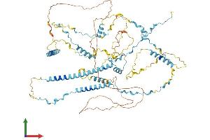 Protein Structure (PS) image for TPX2, Microtubule-Associated, Homolog (Xenopus Laevis) (TPX2) (AA 1-745) protein (His tag) (ABIN7561941)