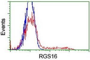 HEK293T cells transfected with either RC202430 overexpress plasmid (Red) or empty vector control plasmid (Blue) were immunostained by anti-RGS16 antibody (ABIN2455310), and then analyzed by flow cytometry. (RGS16 antibody)