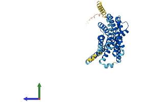 AlphaFold protein structure predicition of Human Recombinant GPR183 Protein, UniprotID P32249 (GPR183 Protein (AA 1-361) (His tag))