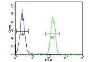 ARG1 antibody flow cytometric analysis of MDA-MB231 cells (green) compared to a negative control (blue). (Liver Arginase antibody  (AA 293-322))