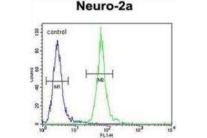 Flow cytometric analysis of Neuro-2a cells using hCG_17324 Antibody (C-term) Cat. (Primary Ciliary Dyskinesia Protein 1 (PCDP1) (AA 508-538), (C-Term) antibody)