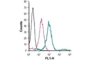Cell surface detection of SLC7A2 in live intact human THP-1 monocytic leukemia cells: (black line) Cells. (SLC7A2 antibody  (2nd Extracellular Loop) (FITC))