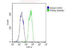 Flow Cytometry (FACS) image for anti-Glutathione Peroxidase 1 (GPX1) (AA 164-193), (C-Term) antibody (ABIN653263)