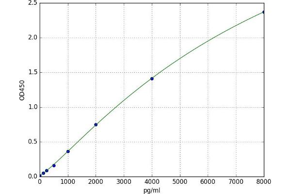EGFR2 ELISA Kit