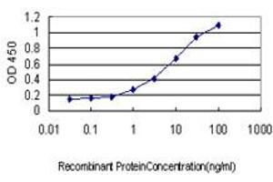 Detection limit for recombinant GST tagged HOXB1 is approximately 0. (HOXB1 antibody  (AA 1-74))