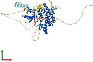 Protein Structure (PS) image for Phosphatidylinositol 4-Kinase Type 2 beta (PI4K2B) (AA 1-481) protein (His tag) (ABIN7550569)