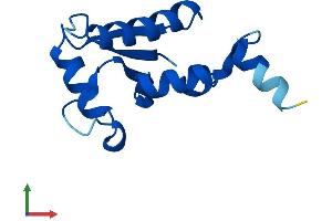 AlphaFold protein structure predicition of Human Recombinant SH3BGRL Protein, UniprotID O75368
