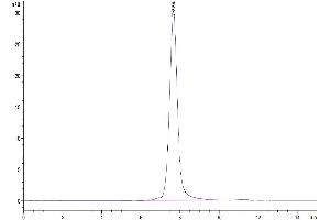 The purity of Human CD30 Ligand/TNFSF8 is greater than 95 % as determined by SEC-HPLC. (TNFSF8 Protein (AA 63-234) (mFc Tag))