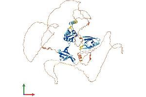 AlphaFold protein structure predicition of Mouse Recombinant Dvl3 Protein, UniprotID Q61062 (DVL3 Protein (AA 1-716) (His tag))