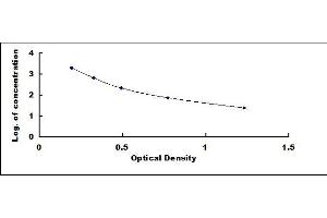 Typical standard curve (PPY ELISA Kit)