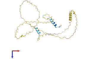 Lysine-Rich Coiled-Coil 1 (KRCC1) (AA 1-259) protein (His tag)