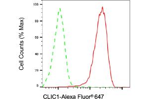 Flow cytometric analysis of CLIC1 expression in HAP-1 cells using CLIC1 antibody (ABIN7798050), 1:2,000).