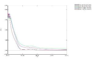 Image no. 2 for Cholesterol (CH) protein (Ovalbumin) (ABIN1880285) (Cholesterol Protein (CH) (Ovalbumin))