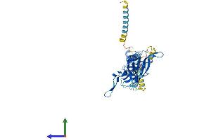 AlphaFold protein structure predicition of Human Recombinant KCNJ1 Protein, UniprotID P48048 (KCNJ1 Protein (AA 1-391) (His tag))