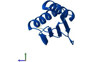 AlphaFold protein structure predicition of Mouse Recombinant Dynll2 Protein, UniprotID Q9D0M5
