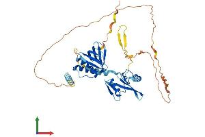 Protein Structure (PS) image for Signal Transducing Adaptor Family Member 2 (STAP2) (AA 1-411) protein (His tag) (ABIN7559636)