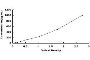 Typical standard curve