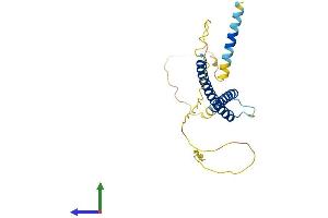 AlphaFold protein structure predicition of Mouse Recombinant Mxi1 Protein, UniprotID P50540 (MXI1 Protein (AA 1-228) (His tag))