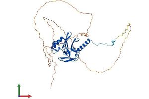 AlphaFold protein structure predicition of Human Recombinant KMT5A Protein, UniprotID Q9NQR1 (SETD8 Protein (AA 1-393) (His tag))