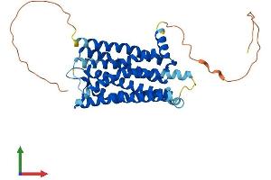 Protein Structure (PS) image for Somatostatin Receptor 5 (SSTR5) (AA 1-362) protein (His tag) (ABIN7562216)