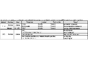 Image no. 1 for anti-V-Akt Murine Thymoma Viral Oncogene Homolog 1 (AKT1) (pSer473) antibody (ABIN967668) (AKT1 antibody  (pSer473))