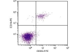 Human peripheral blood lymphocytes were stained with Mouse Anti-Human CD35-FITC. (CD35 antibody  (FITC))