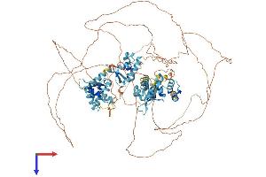 AlphaFold protein structure predicition of Human Recombinant MAGEE1 Protein, UniprotID Q9HCI5 (MAGEE1 Protein (AA 1-957) (His tag))
